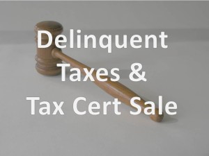 delinquent tax county property real year liberty cljnews