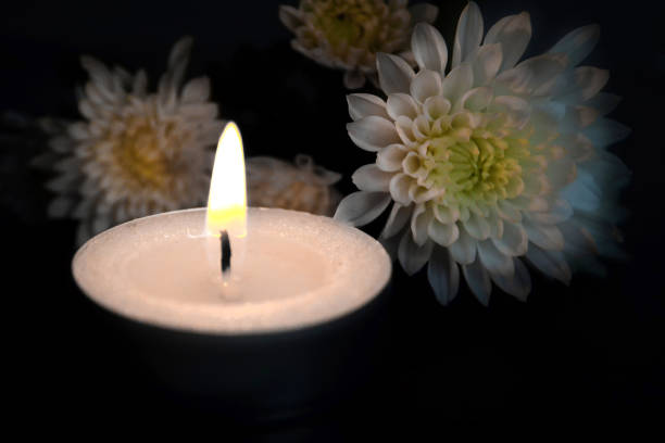 Candle and white Chrysanthemum flowers