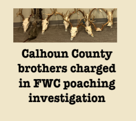 Screenshot 2025-08-04 at 12.50.35 PM