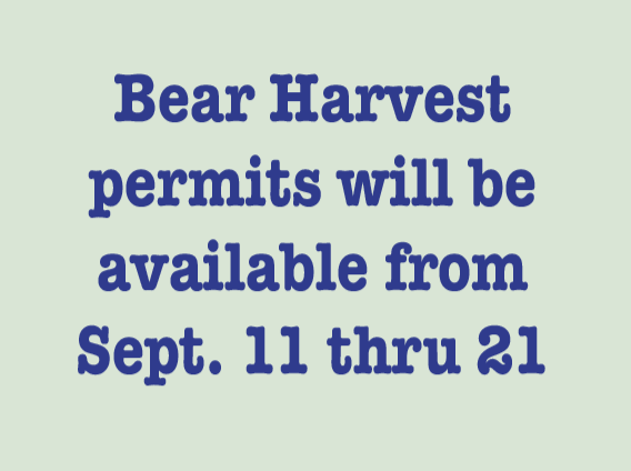 BEAR HARVEST